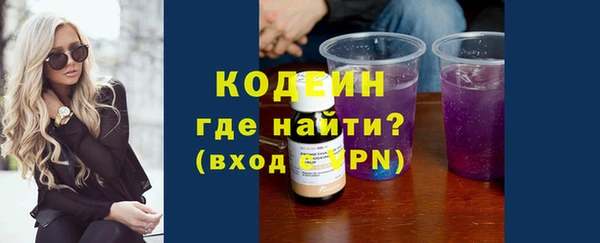 мдпв Елизово