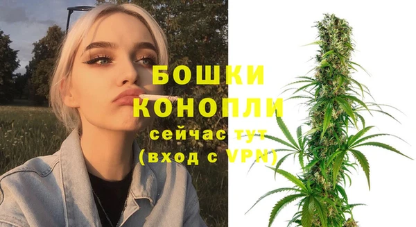дмт Кукмор