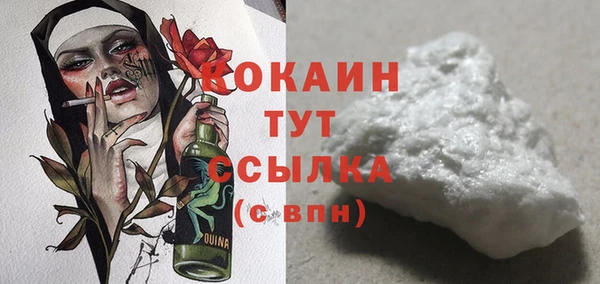 мдпв Елизово