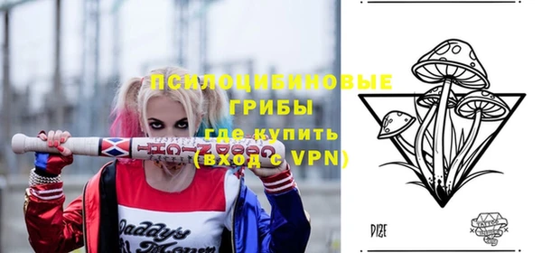 мдпв Елизово