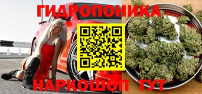 молекула духа Бузулук