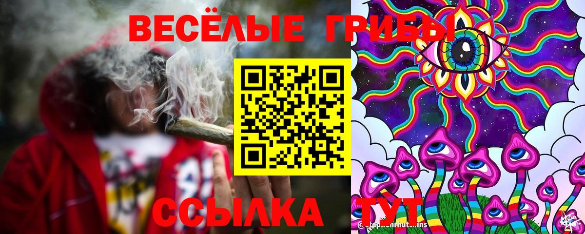 Галлюциногенные грибы Psilocybe Кандалакша